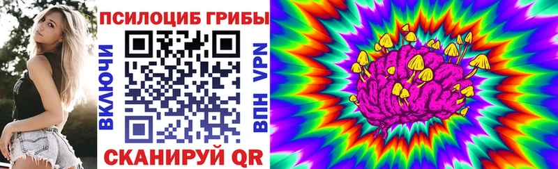 кракен   Старая Русса  Галлюциногенные грибы Magic Shrooms 