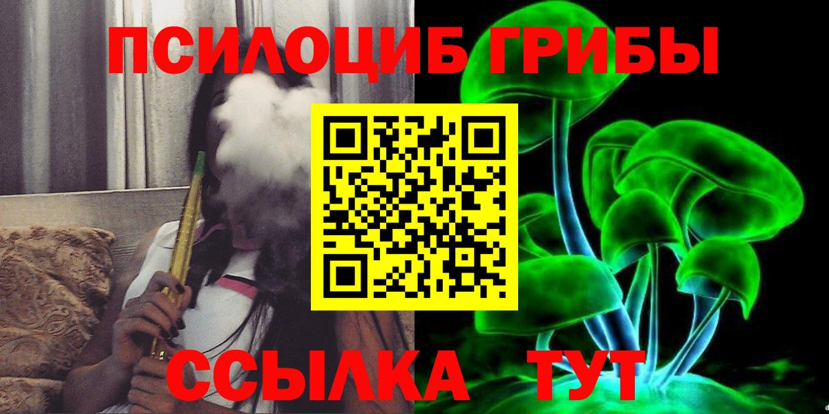 Галлюциногенные грибы Psilocybine cubensis Старая Русса